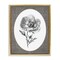 Stupell Industries Anemone Sprig Vignette Floating Frame By Lettered and Lined